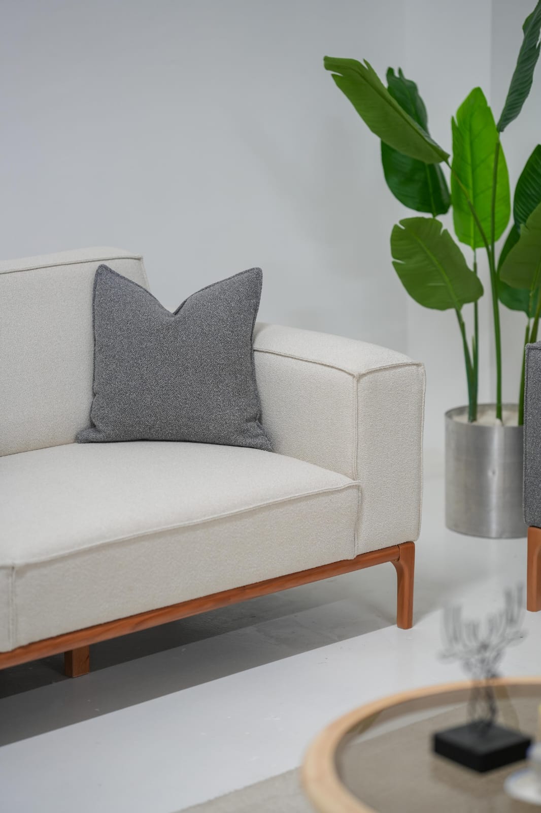 Gri yastıklı beyaz kumaş modern koltuk takımı açık ahşap ayaklı ve yanında dekoratif bitki
